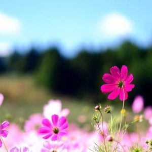 Meet your Posher, Becky